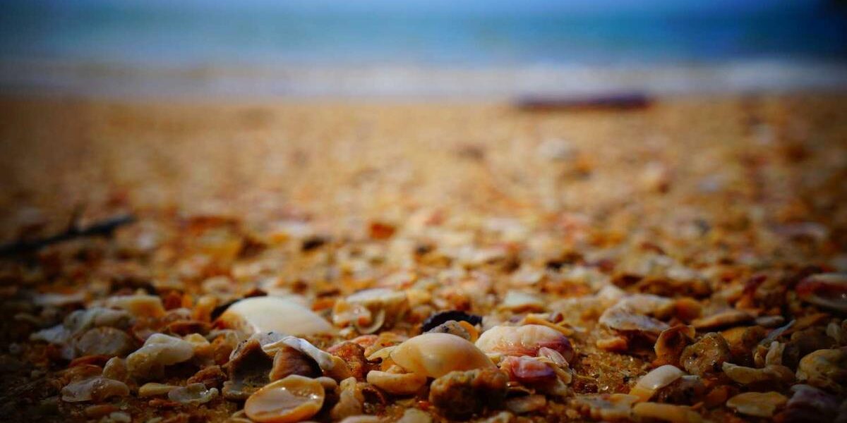 Choosing Your First SUP